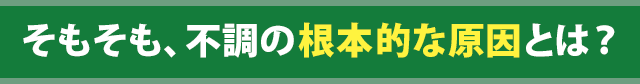 そもそも、不調の根本的な原因とは?